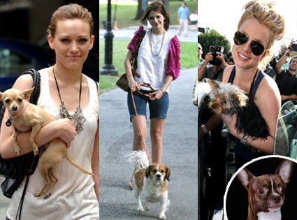 Hilary Duff, Mischa Barton, Britney Spears, Lou Hilary Duff, Mischa Barton, Britney Spears, Lou